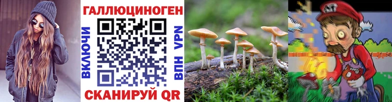 Галлюциногенные грибы GOLDEN TEACHER  Тбилисская 